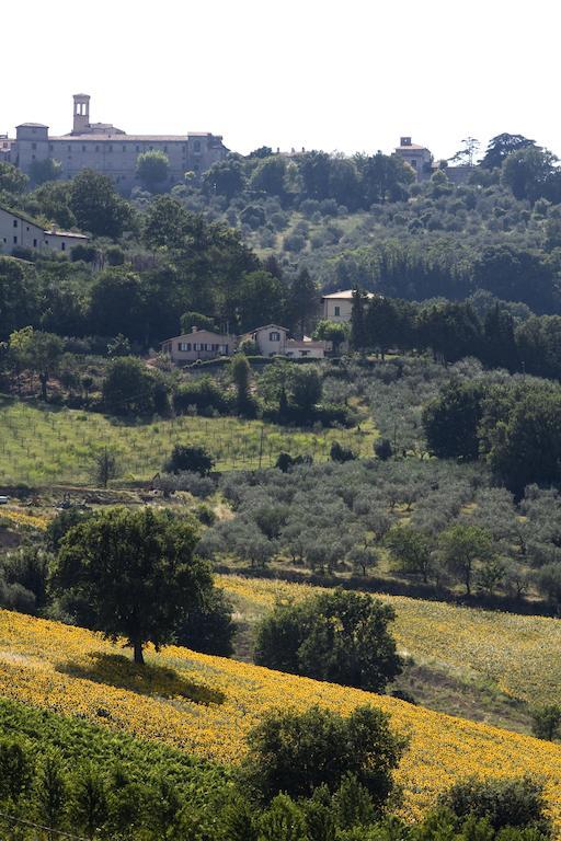 Agriturismo Il Girasole Монтефалько Екстер'єр фото